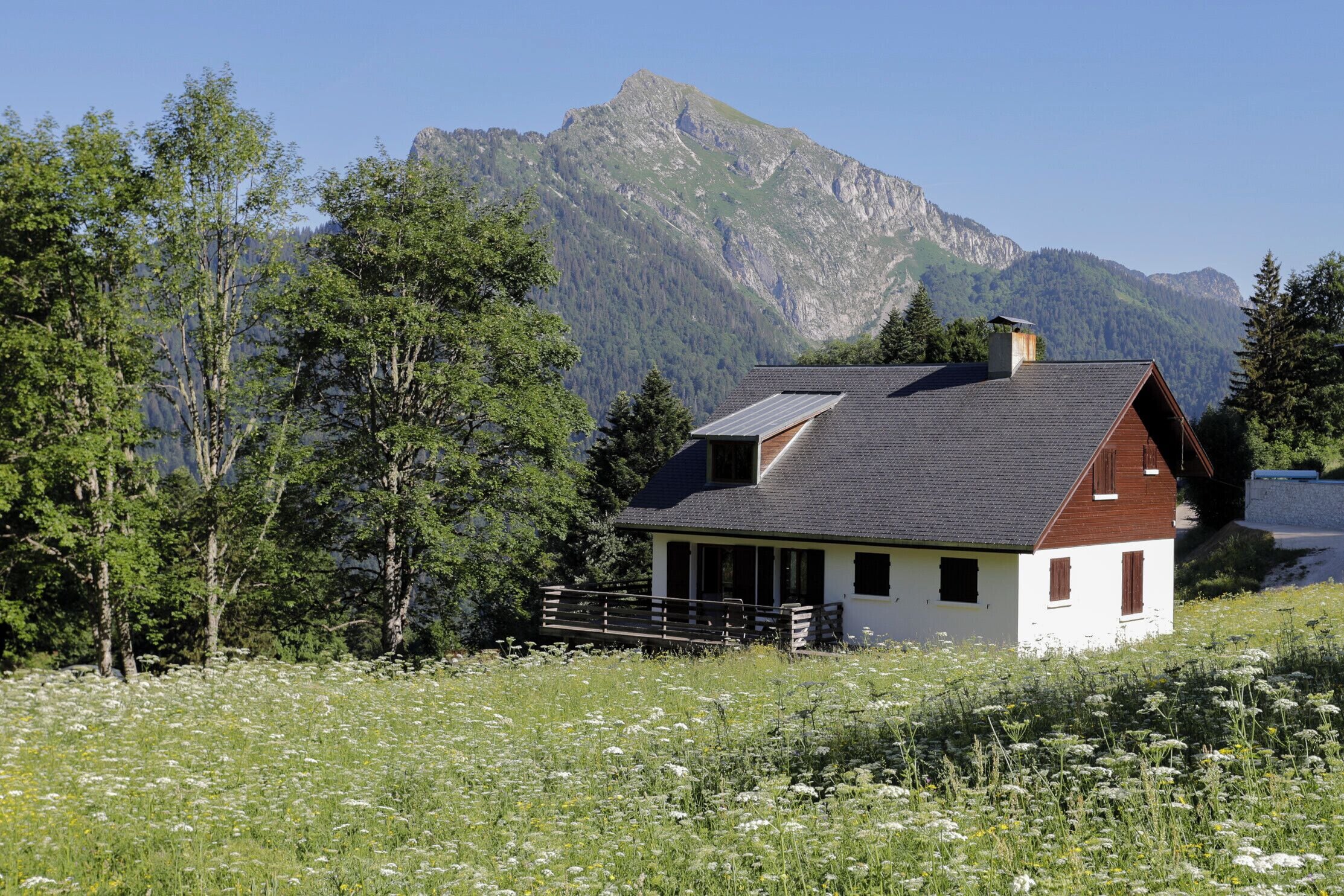 Eksteriør