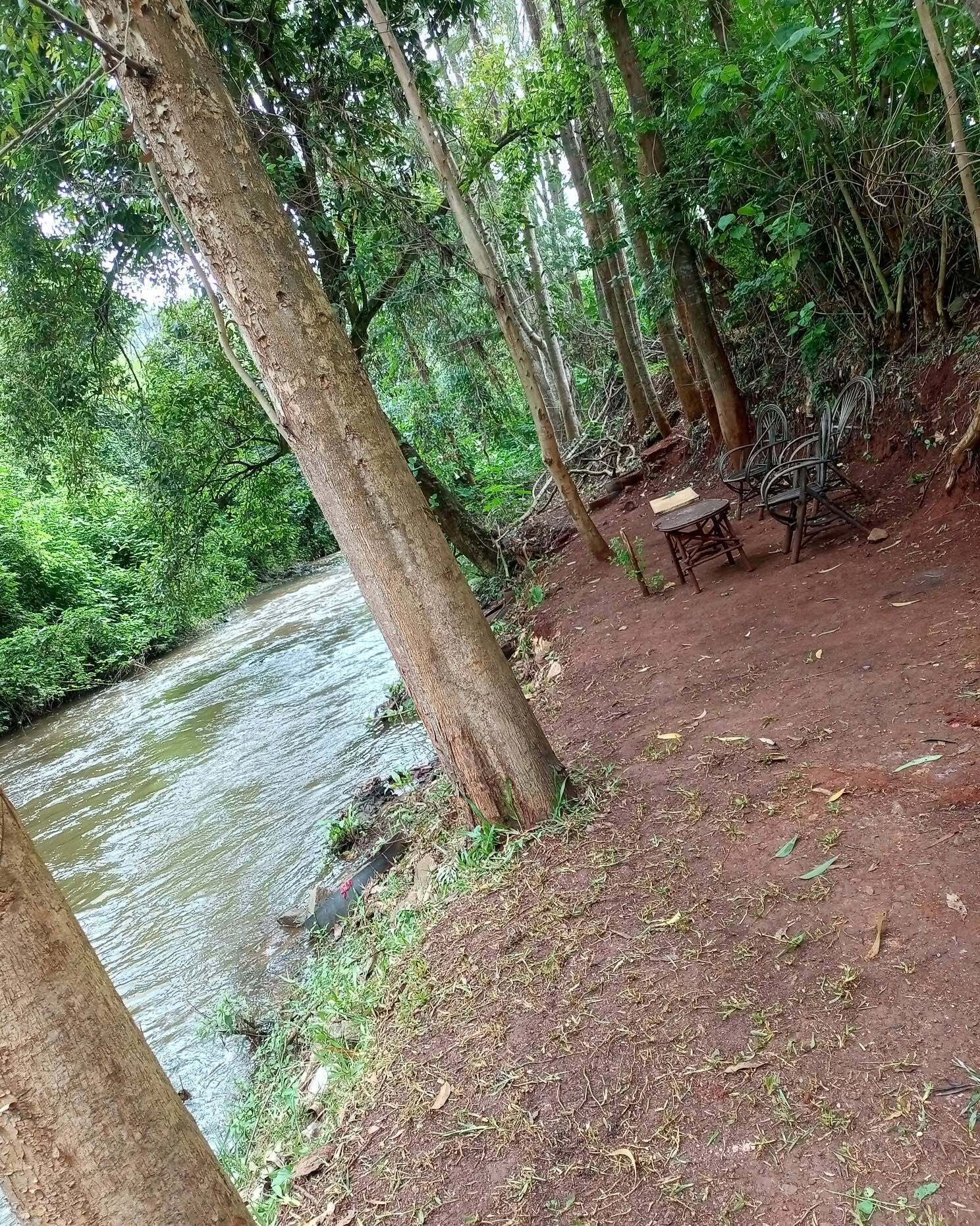 A natural setting with a river, trees, and a bench.
