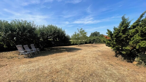 Un espacio al aire libre con césped, dos sillones de descanso y varios árboles.