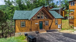 Une cabane en bois avec un toit vert, un porche à l’avant et une porte bien visible.
