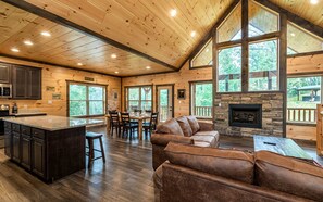 Ein geräumiges Cabin-Interieur mit Küche, Essbereich und Kamin.