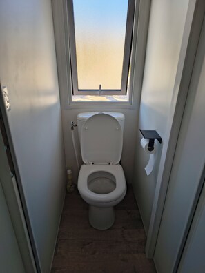 A small bathroom with a toilet, a window, and a roll of toilet paper on the wall.