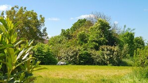 A grassy field with dense trees and a building in the background.