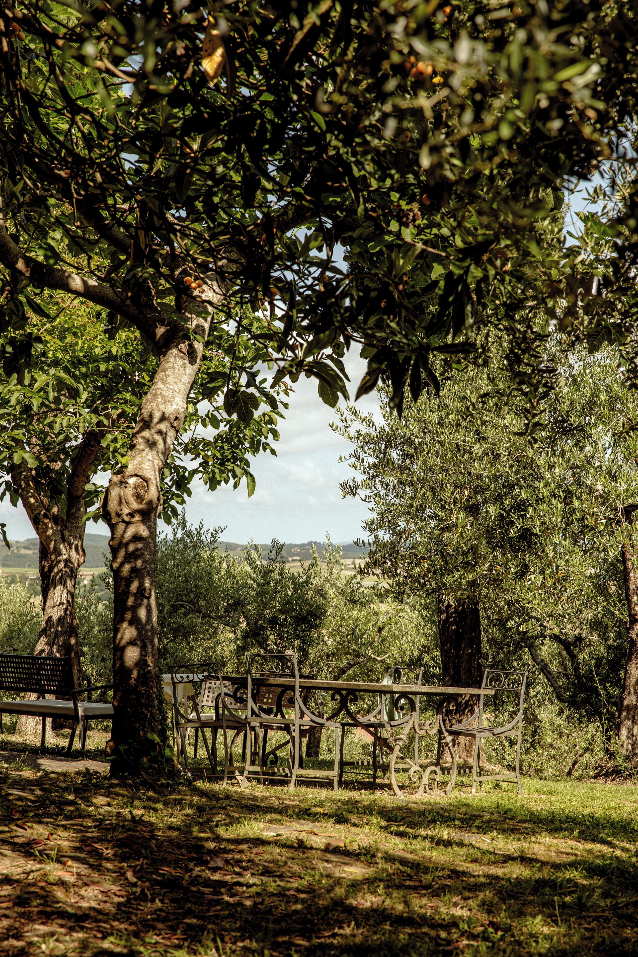 Tuscan Apartment in Nature | View from room