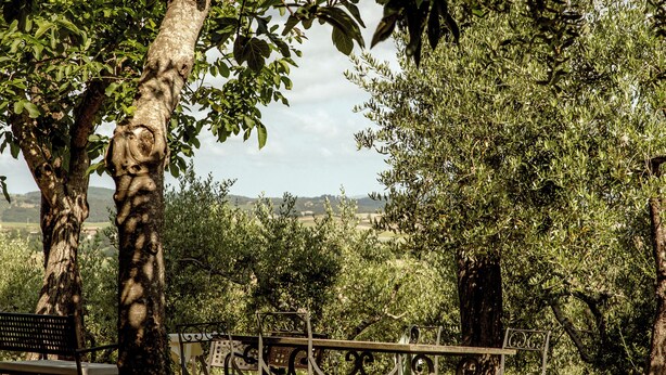 A park with trees, a metal fence, and a bench. - AGRITURISMO QUARANTALLINA (Buonconvento)