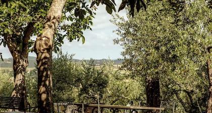 AGRITURISMO QUARANTALLINA