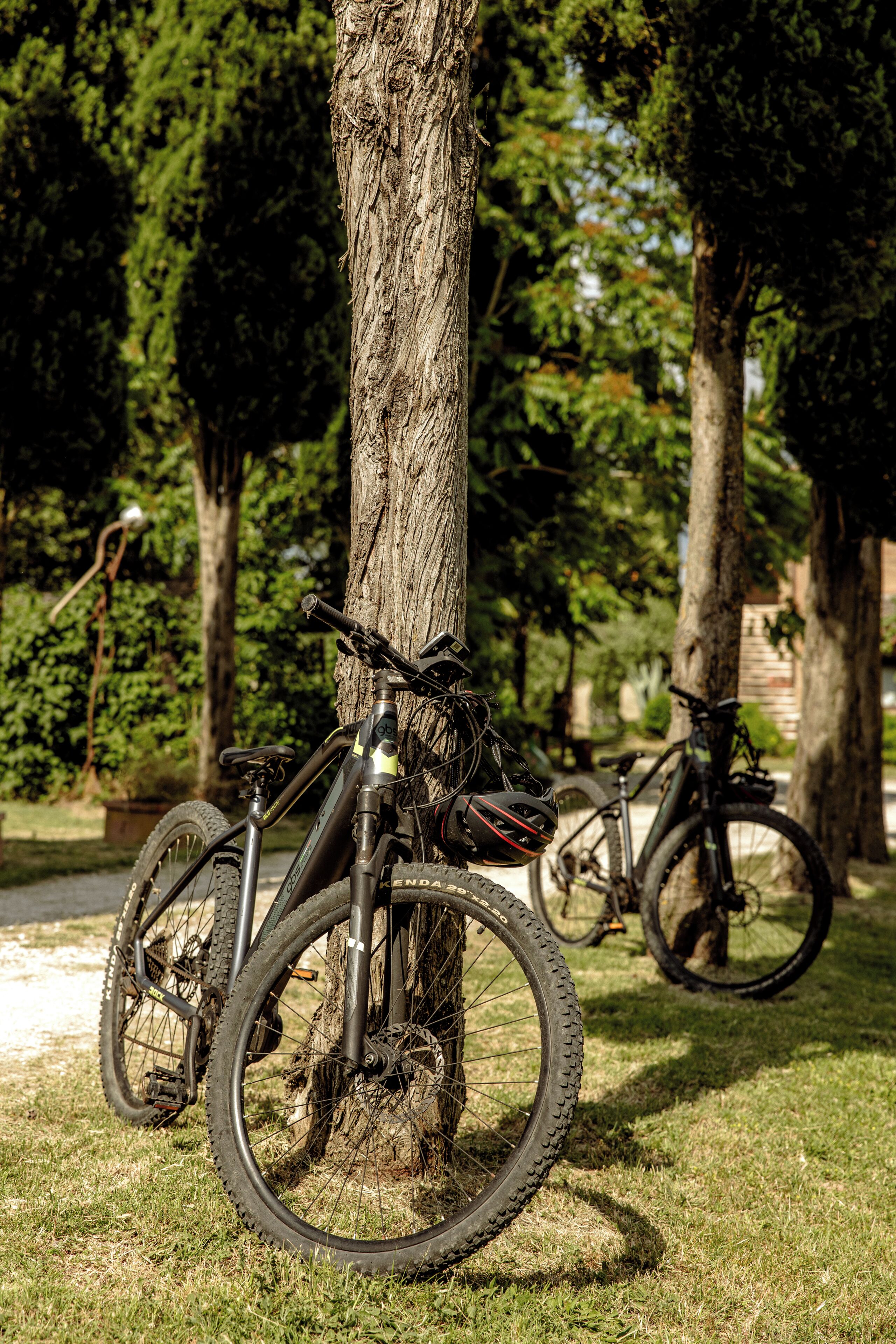 Ein Fahrrad ist an einen Baum geparkt, im Hintergrund steht ein weiteres Fahrrad auf einer Wiese.