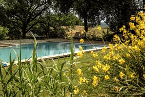 Exterior - AGRITURISMO QUARANTALLINA (Buonconvento)