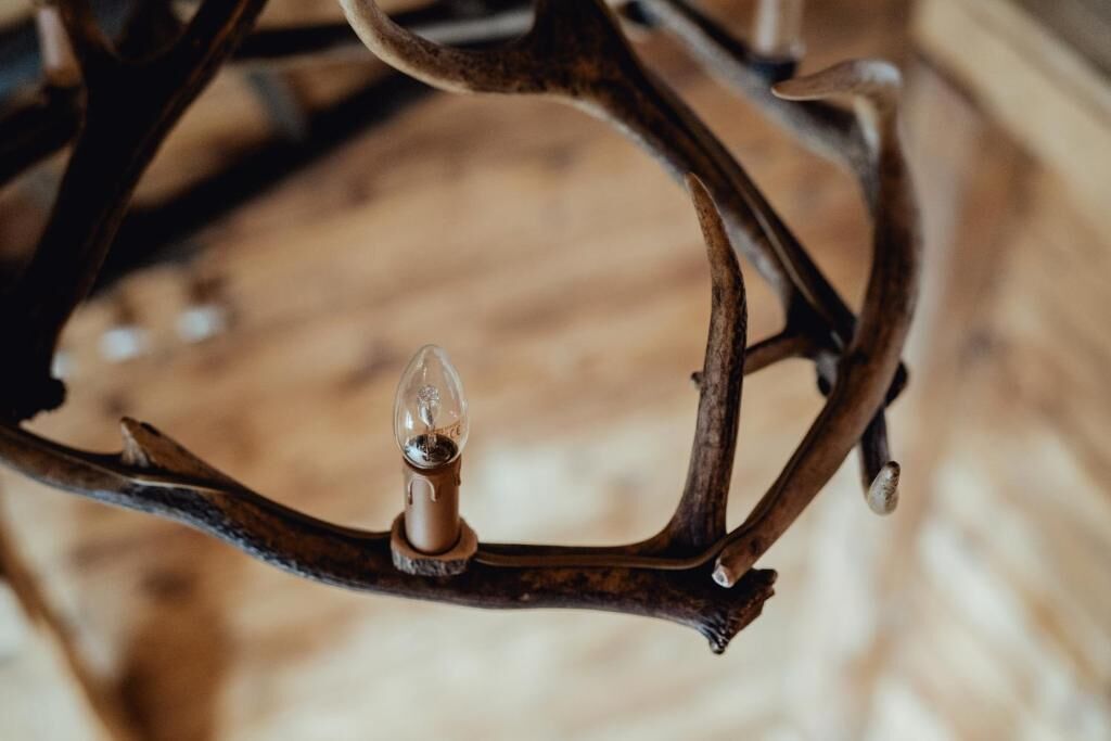 A close-up of a metal chandelier with a single bulb.