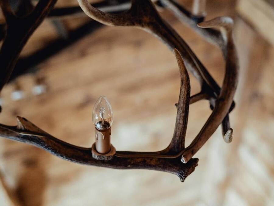 A close-up of a metal chandelier with a single bulb.