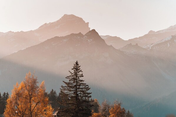 A mountain landscape with a prominent peak, a coniferous tree in the foreground, and a forested area with autumn-colored foliage.
