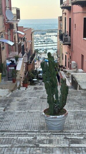 A potted cactus on a rooftop terrace with a view of a marina and boats. - A comfortable apartment right in the heart of the city and just a few meters from the sea (Castellammare del Golfo)
