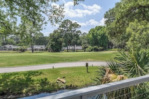 A residential area with a well-maintained lawn, a curved road, and houses in the background. - Sea Pines Home on Golf Course with Private Pool (Hilton Head Island)