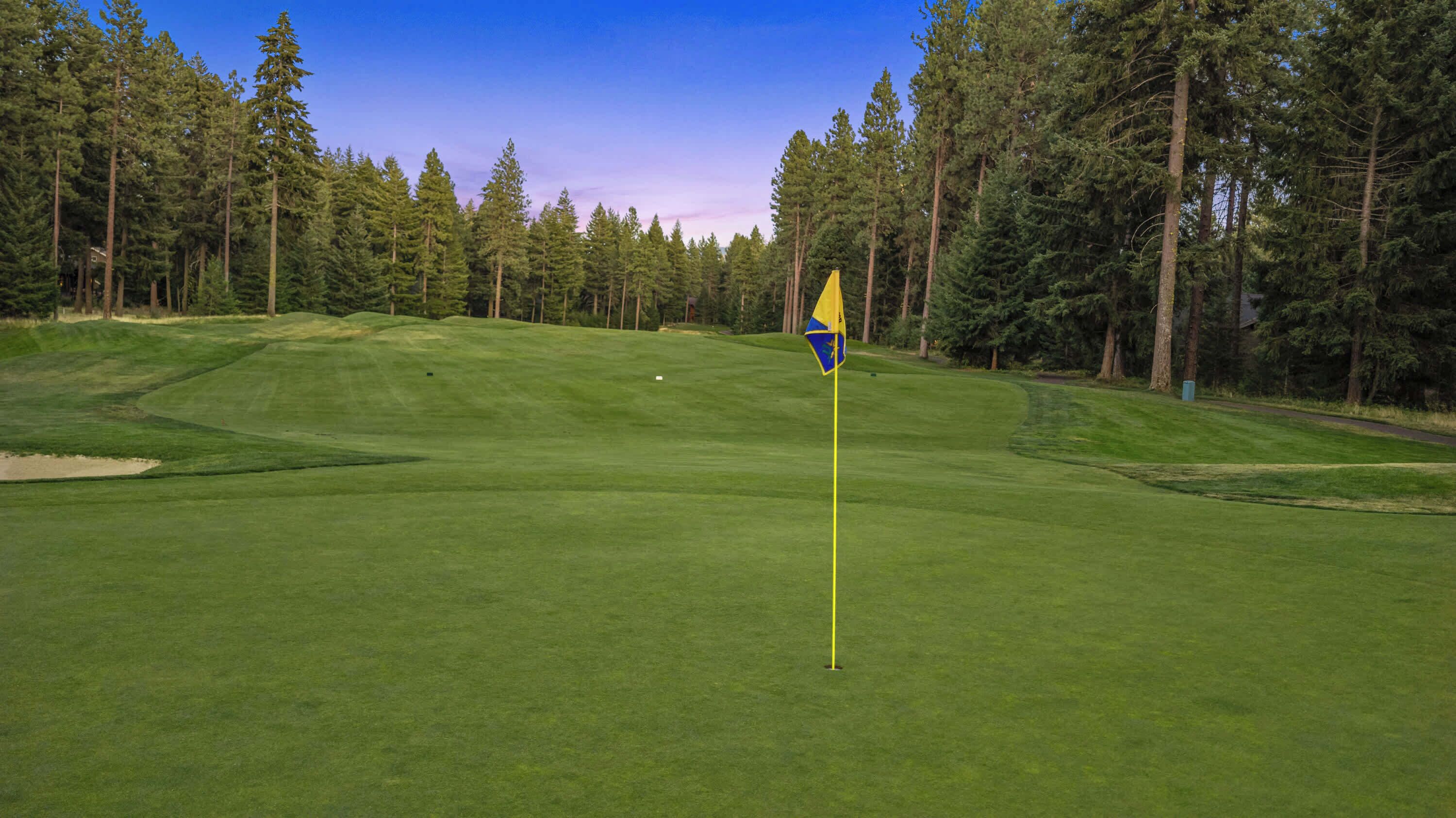 Un parcours de golf avec un mât de drapeau, entouré d’arbres denses et sous un ciel dégagé.