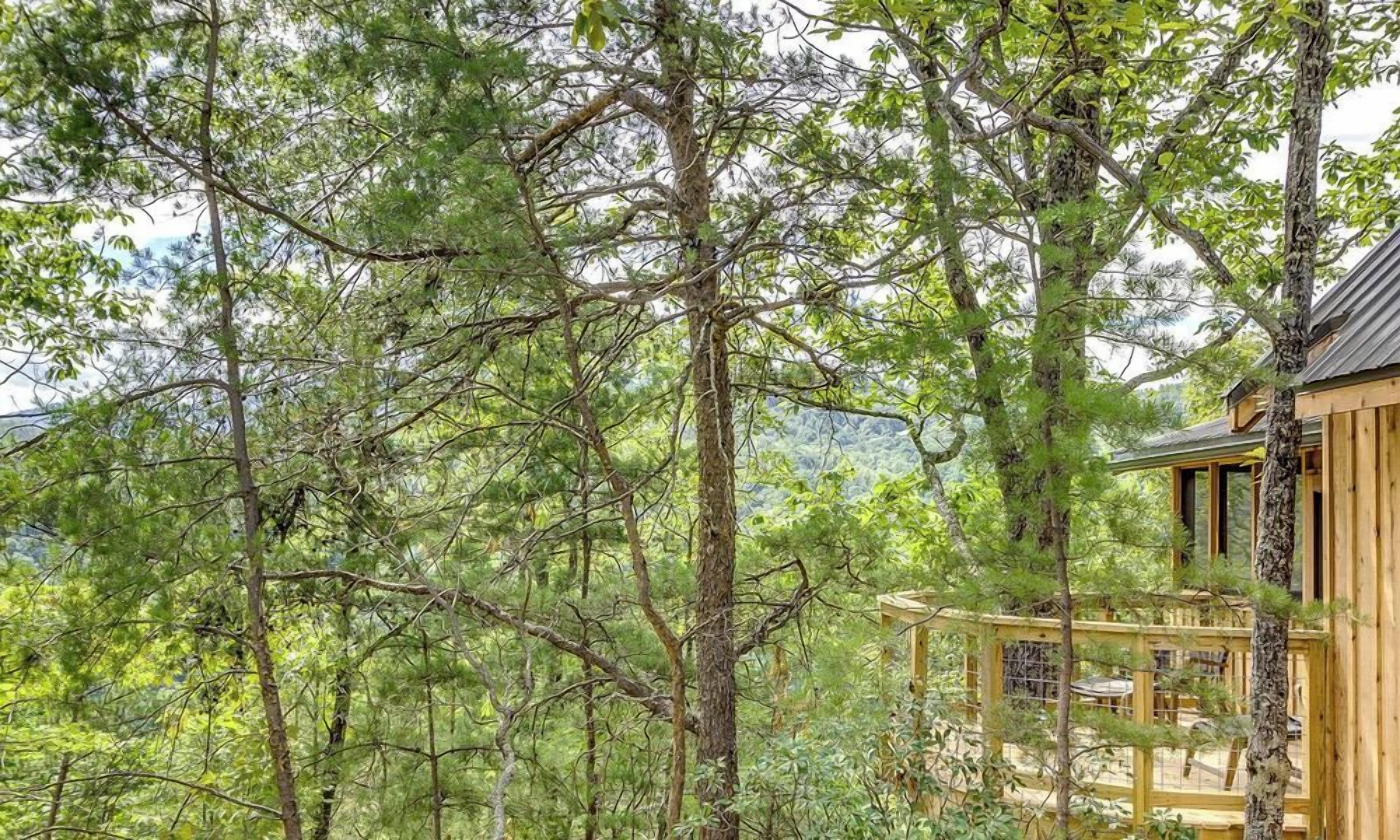 A wooden cabin surrounded by dense forest, with a deck and a view of the mountains in the background.