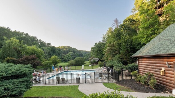 Une piscine avec un chalet en bois et un espace clôturé, le tout entouré d’une végétation luxuriante.