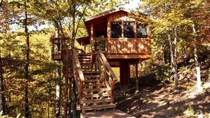 Une cabane en bois avec un escalier menant à une terrasse, entourée d’arbres.