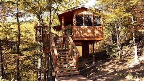 Una cabana de fusta amb una escala que condueix a una terrassa, envoltada d'arbres.