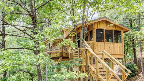 Une cabane en bois avec un escalier menant à une terrasse, le tout entouré d’arbres.