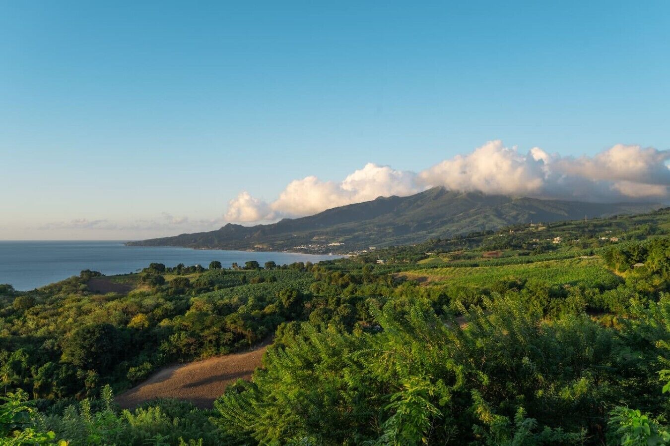 Un paysage côtier avec une montagne en arrière-plan et un ciel dégagé.