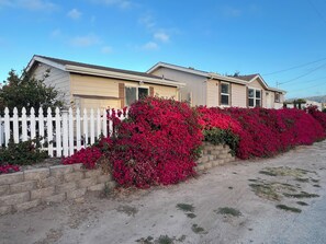 Exterior - Charming 3-bedroom house for Rent for Car Week. Excellent location. (Seaside)