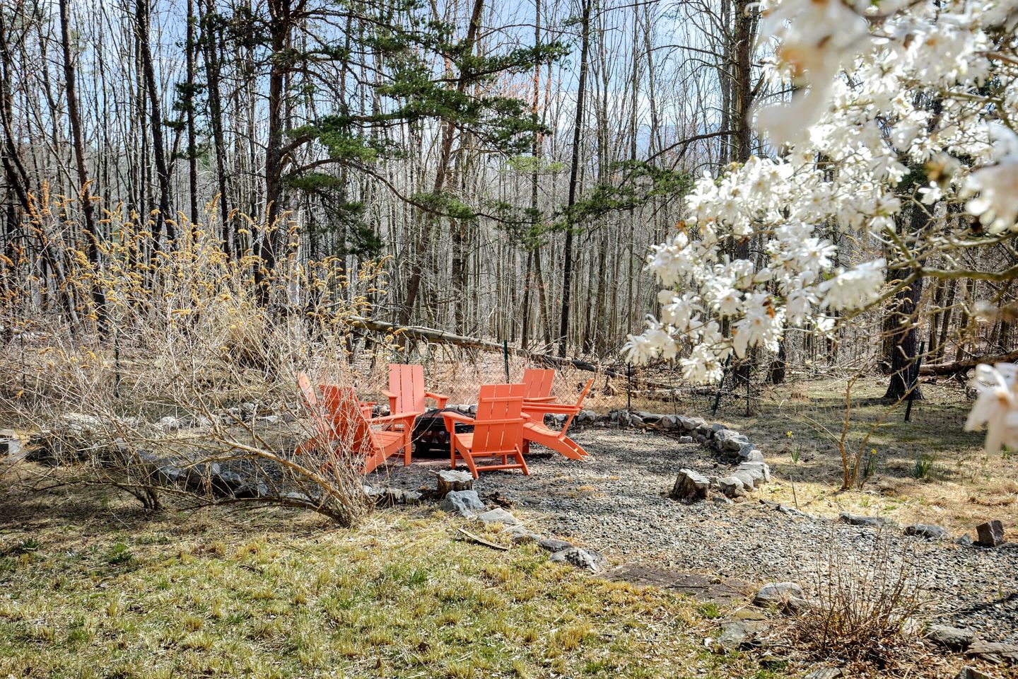 A forested area with outdoor seating and a natural setting.