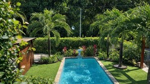 Ein rechteckiger Pool mit einer Fontäne, umgeben von gepflegtem Rasen und verschiedenen tropischen Pflanzen.