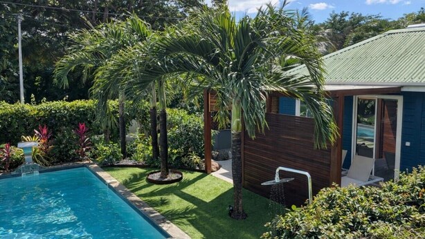 Una piscina rodeada de exuberante vegetación, una terraza de madera y un pequeño edificio con techo verde.