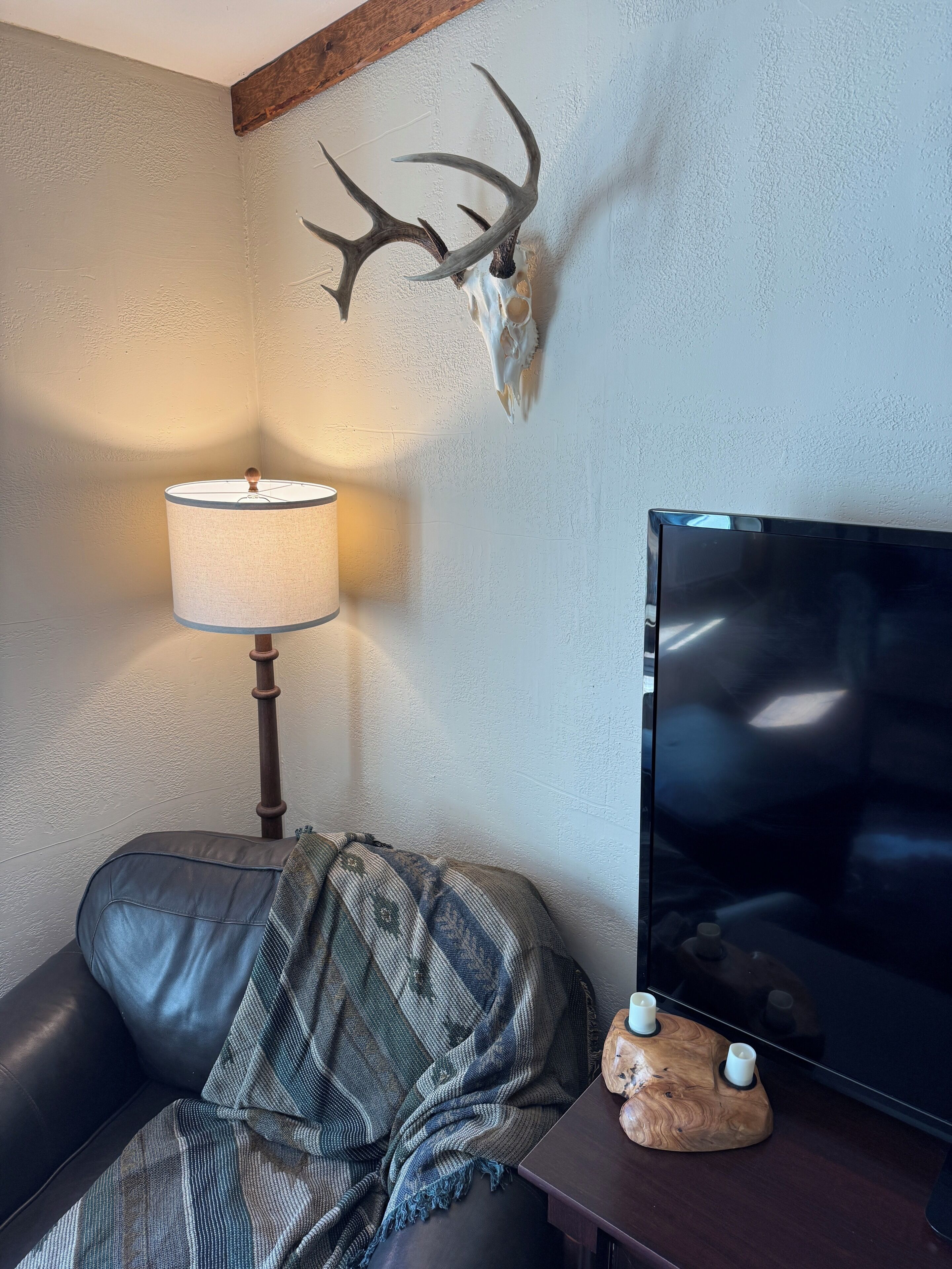 A room with a leather sofa, a lamp, a mounted deer skull, and a television on a wooden stand.