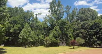 Relaxing 1-bedroom cottage on 13 acres in charming Senatobia