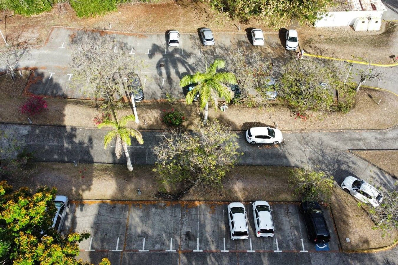 Une vue aérienne d’un parking où se trouvent plusieurs voitures, des palmiers et une route.