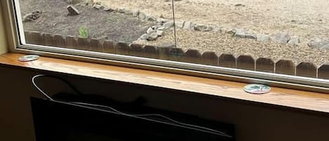 A window with a view of a body of water and a grassy area.