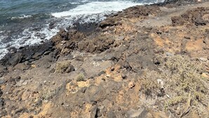 Costa rocosa con olas rompiendo sobre las rocas bajo un cielo despejado.