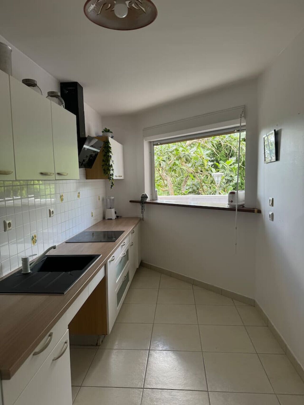 Una cocina con armarios blancos, un ventanal con vista a vegetación y una encimera con un lavabo.