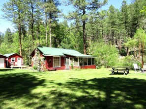 A cabin with a porch, a picnic table, and a clear view of the surrounding forest. - Enchanting Historic Cabin Haven near Black Hills Mountain in South Dakota (Keystone)