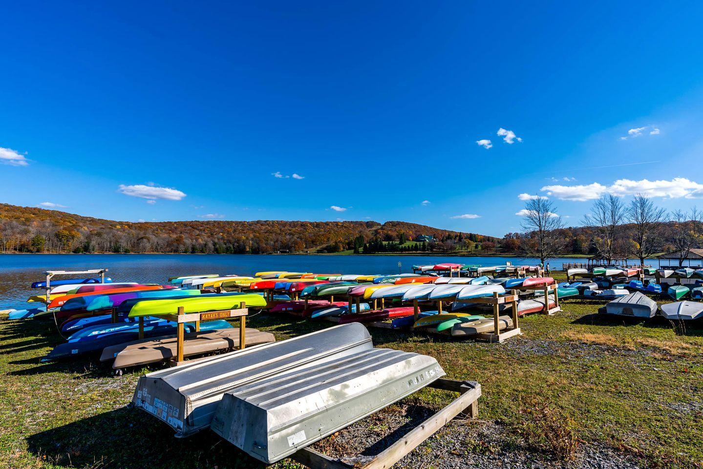 A lakeside view with a row of colorful kayaks and a wooden bench.