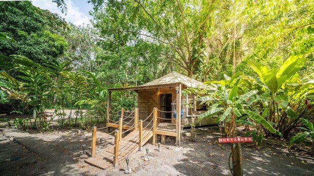 Eine Holzhütte mit einem Reetdach, umgeben von dichtem tropischen Grün.