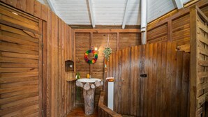 A wooden interior with a rustic sink and a hanging plant.