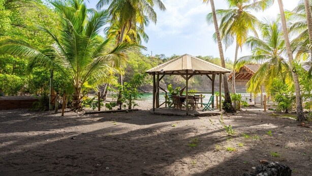 A covered outdoor seating area with a table and chairs, surrounded by palm trees and a sandy ground.