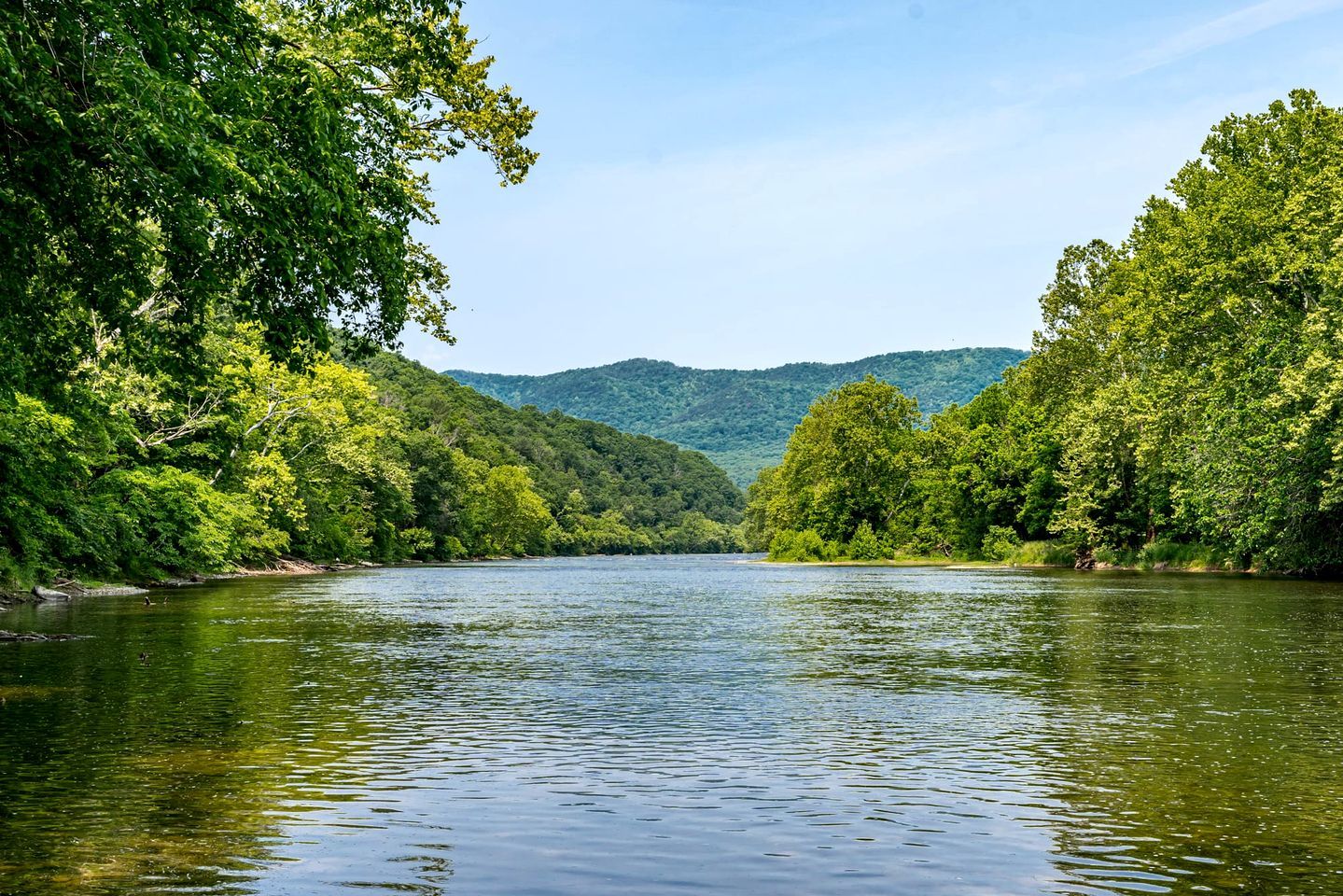 A river surrounded by dense forest and hills.