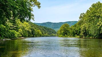 A river surrounded by dense forest and hills.