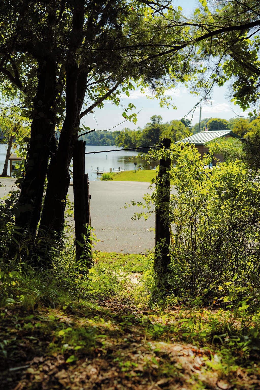 A natural landscape with trees, a body of water, and a building in the background.