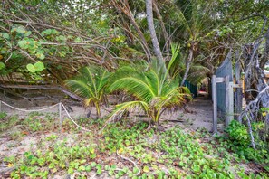 A natural outdoor area with dense vegetation, including palm trees and various shrubs. - Les Beaux Arts Bungalow (Le Diamant)