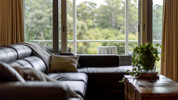 Ein Zimmer mit Ledersofa, einem kleinen Tisch mit Pflanze und einem Fenster mit Blick auf Bäume.