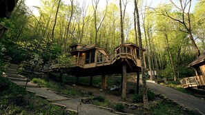 Una estructura tipo casa en un árbol con varios niveles, conectada por pasarelas de madera, ubicada en un área boscosa.