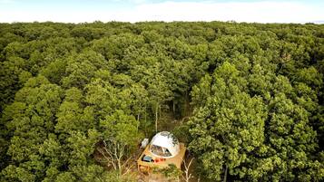 A dome-shaped structure surrounded by dense forest.