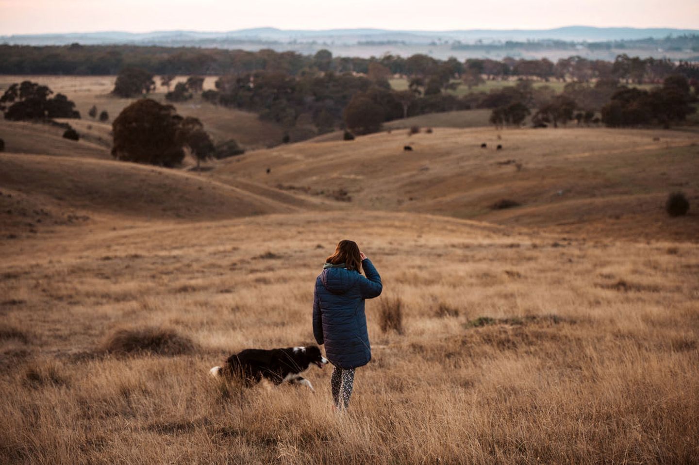 A person standing in a field with a dog, overlooking a hilly landscape with sparse vegetation.