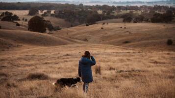 A person standing in a field with a dog, overlooking a hilly landscape with sparse vegetation.