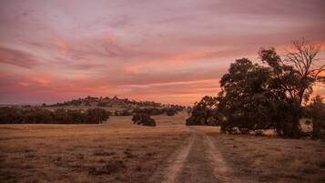 A rural landscape with a dirt path leading through a field with scattered trees, under a sunset sky.