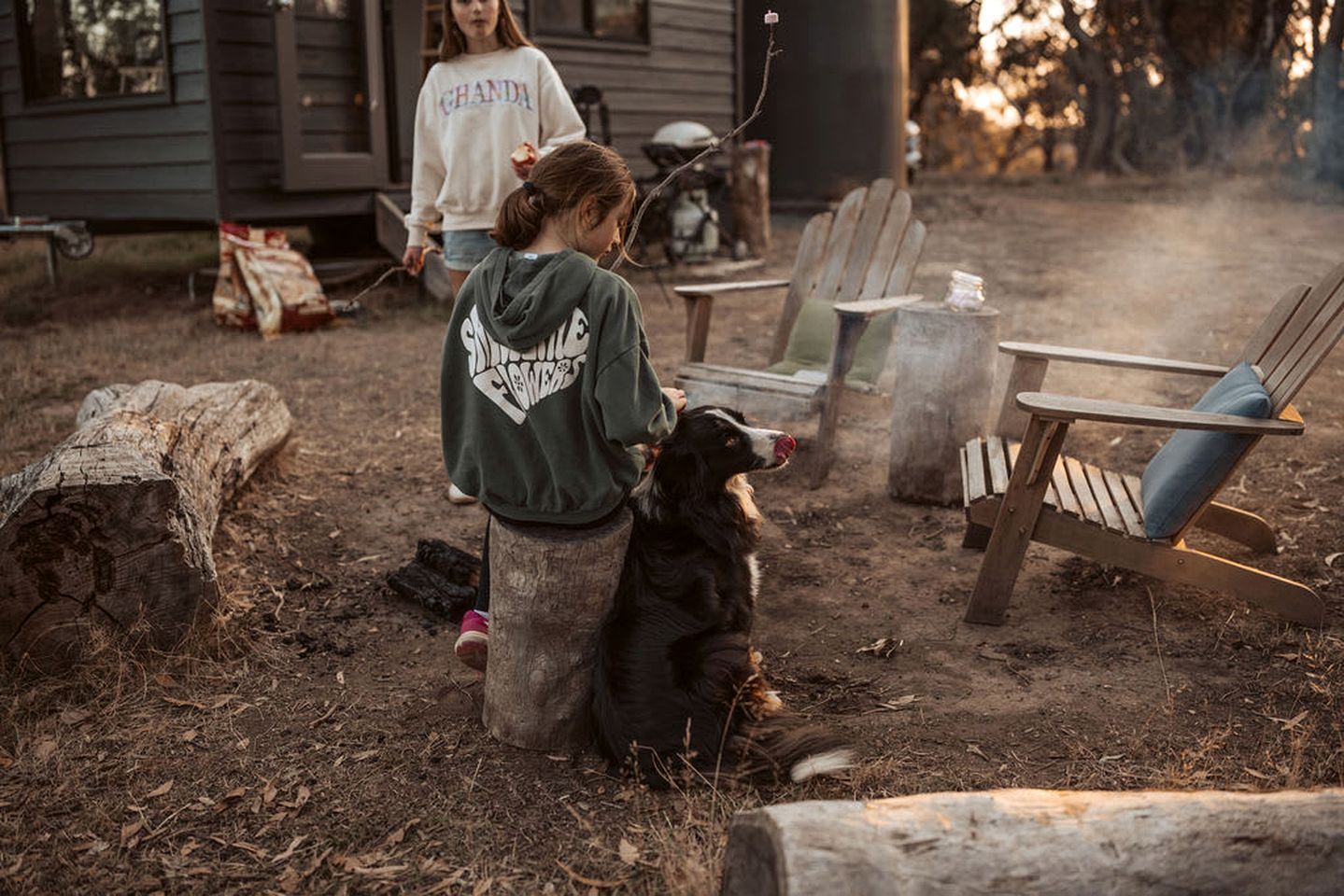 Un entorno rústico al aire libre con una silla de madera, un tronco y un perro.